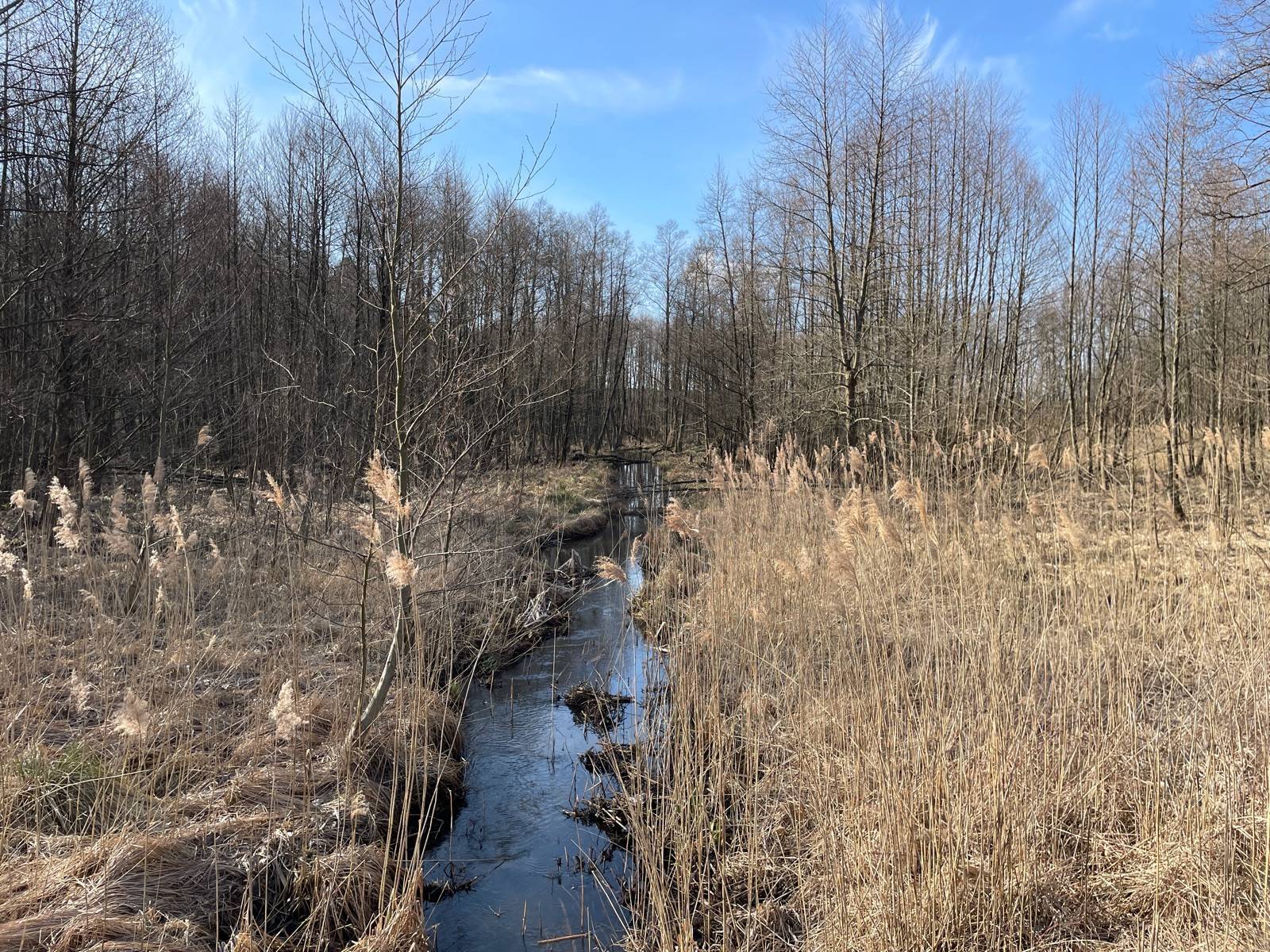 Zdjęcie 6