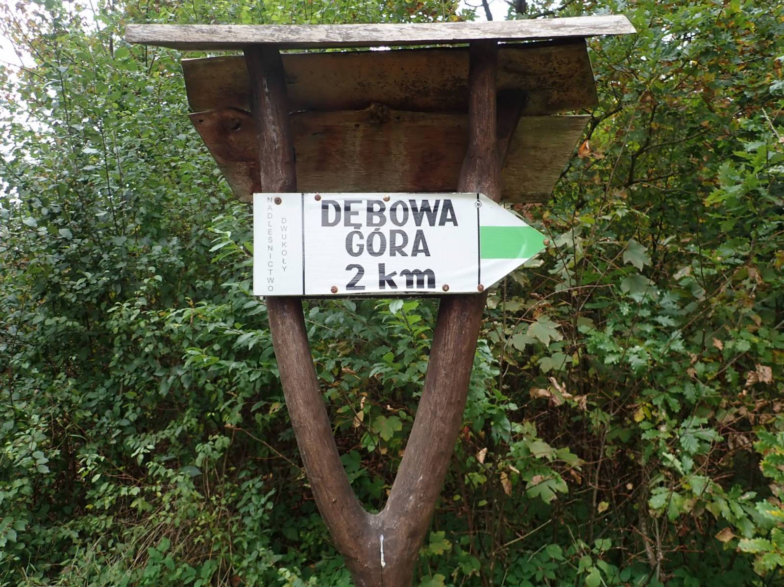 Zdjęcie 2