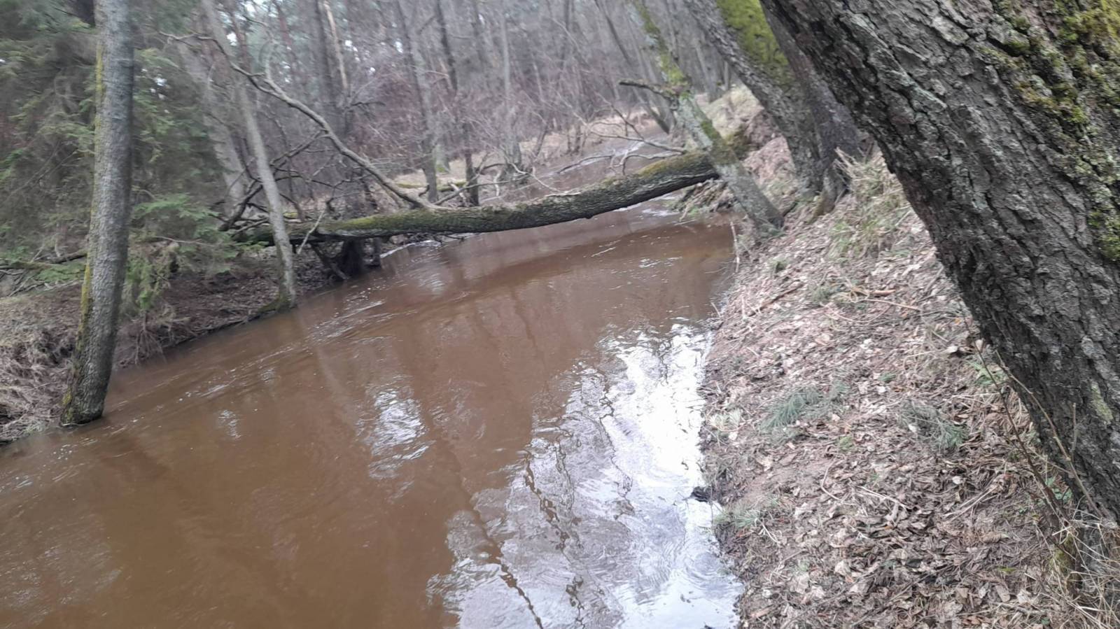 Zdjęcie 6