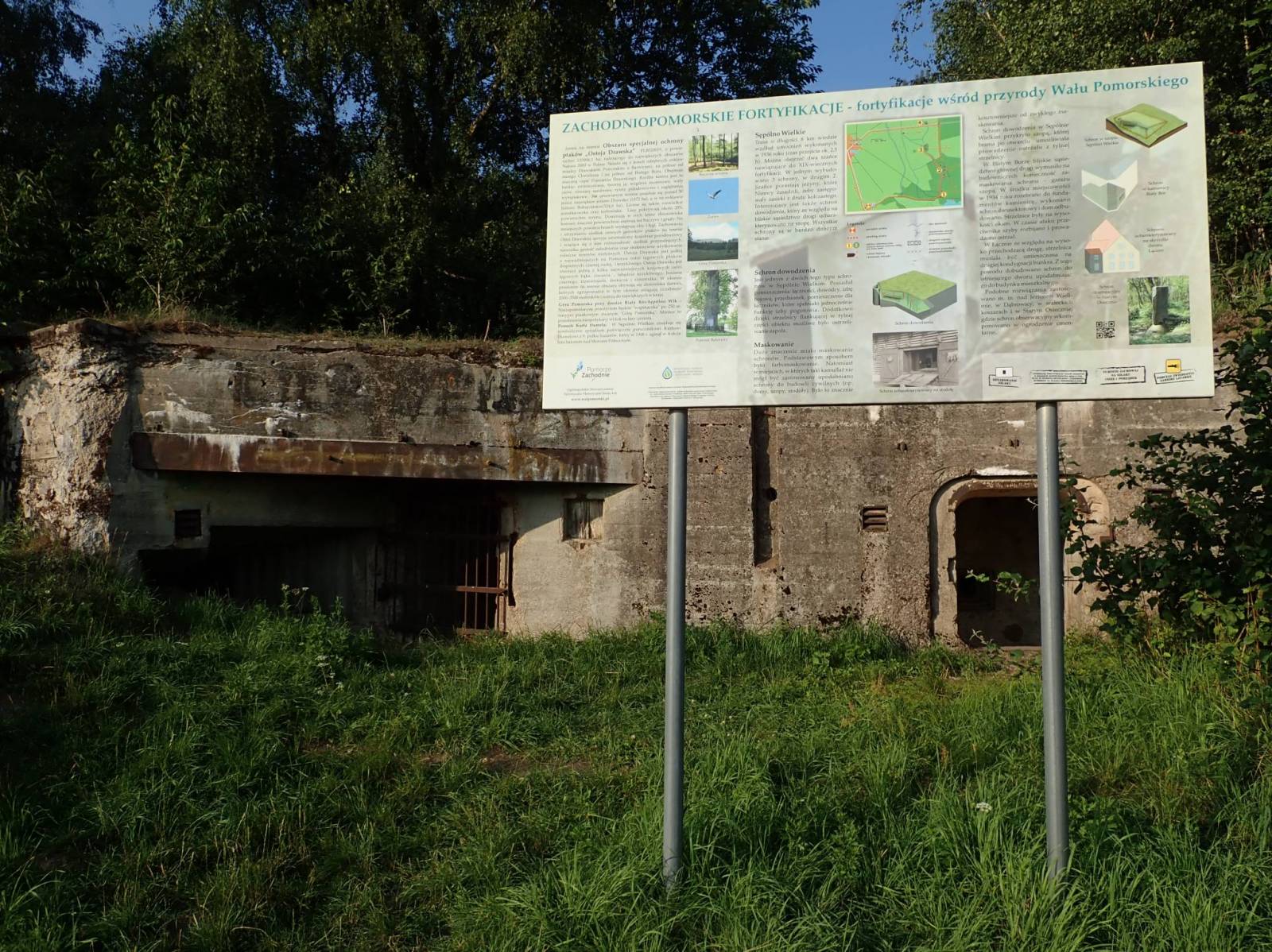 Zdjęcie 5