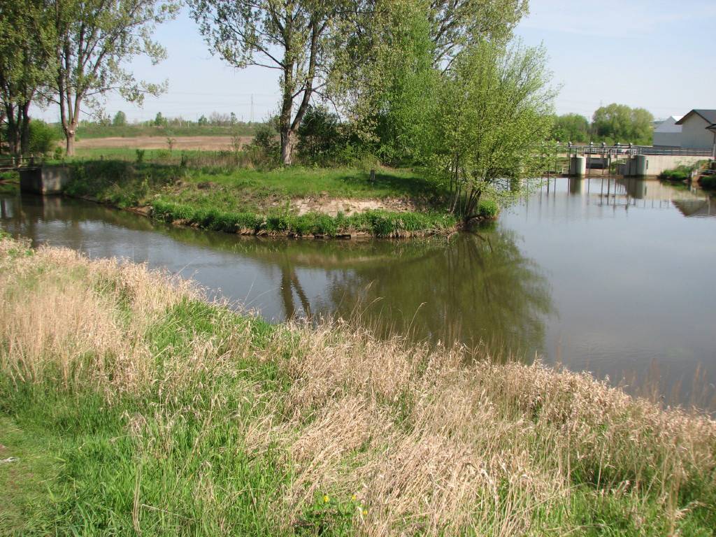 Zdjęcie 4