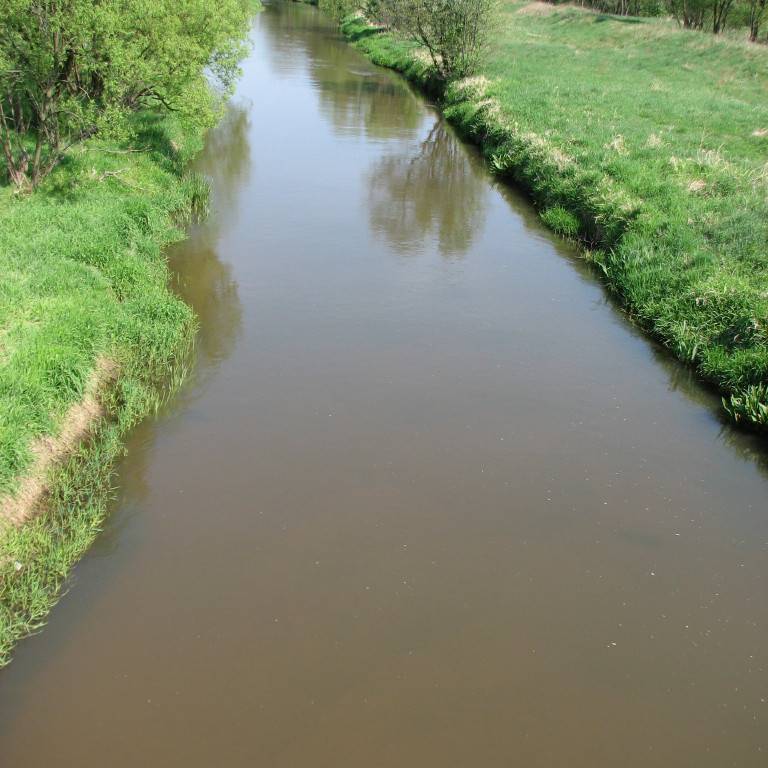 Zdjęcie 5