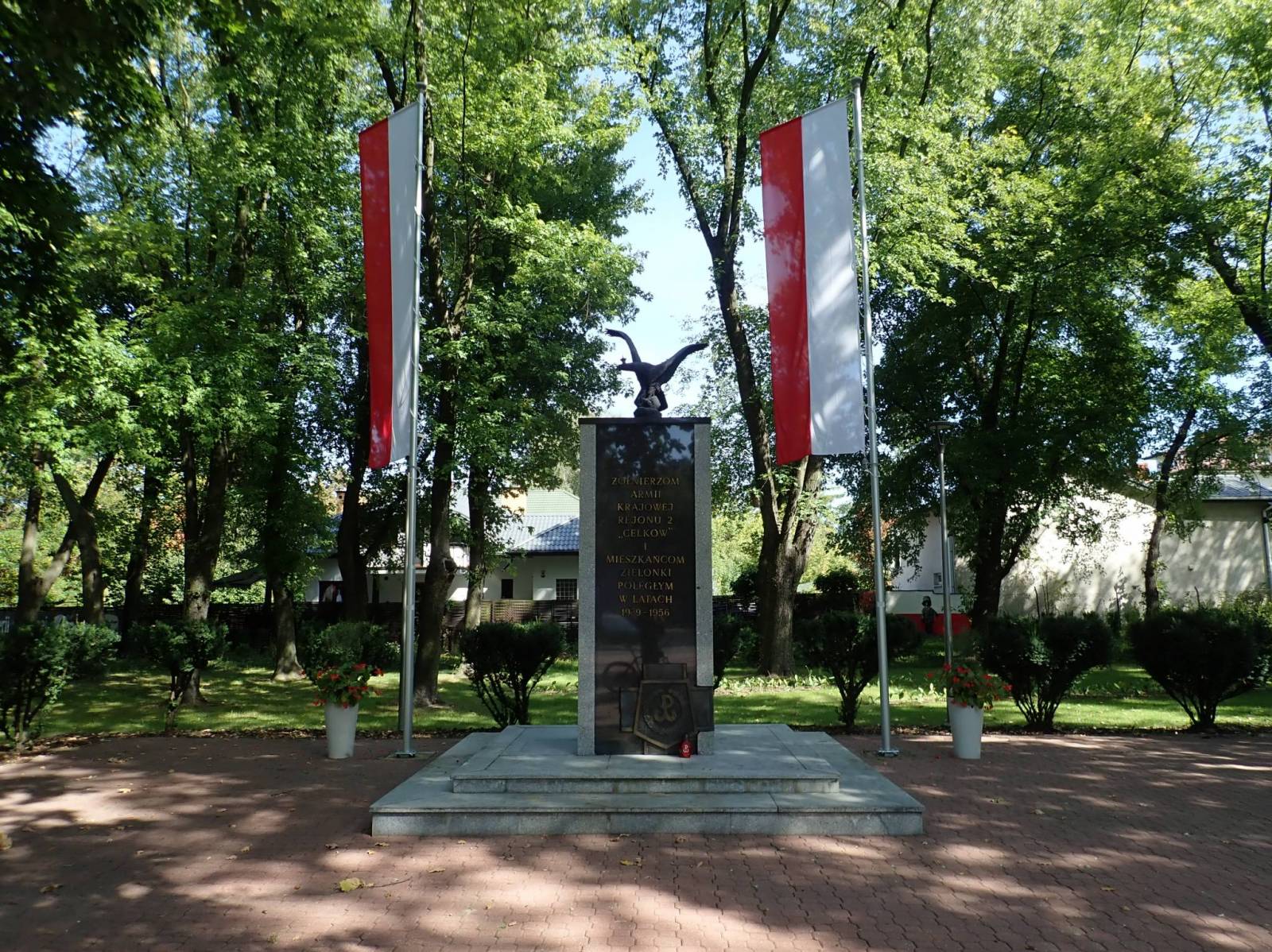 Zdjęcie 5