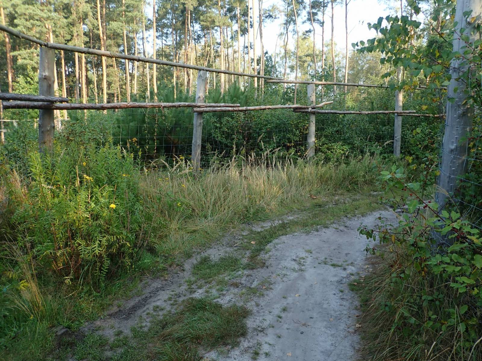 Zdjęcie 3