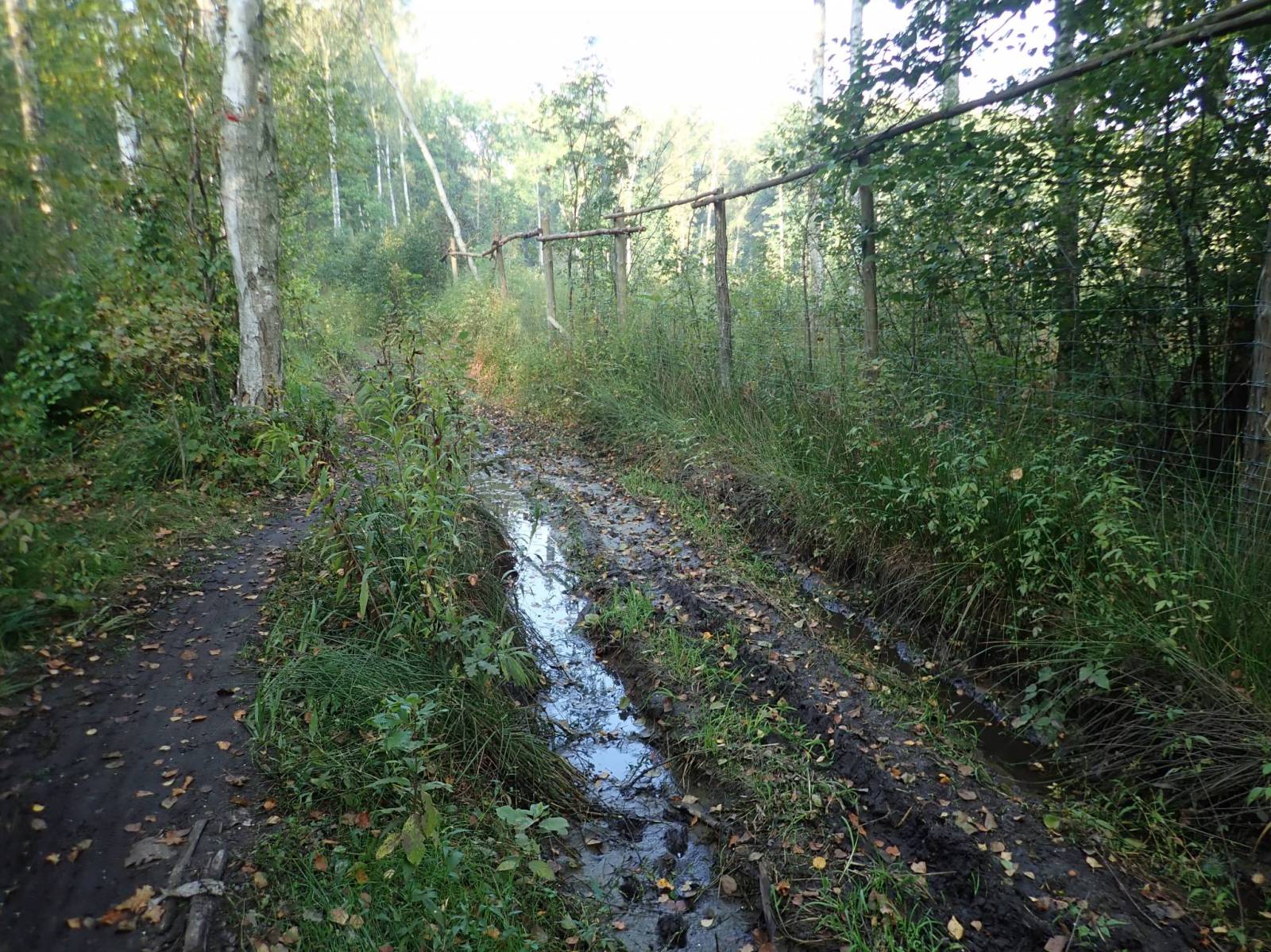 Zdjęcie 5