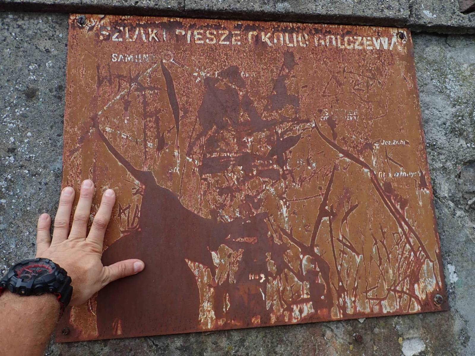 Zdjęcie 2