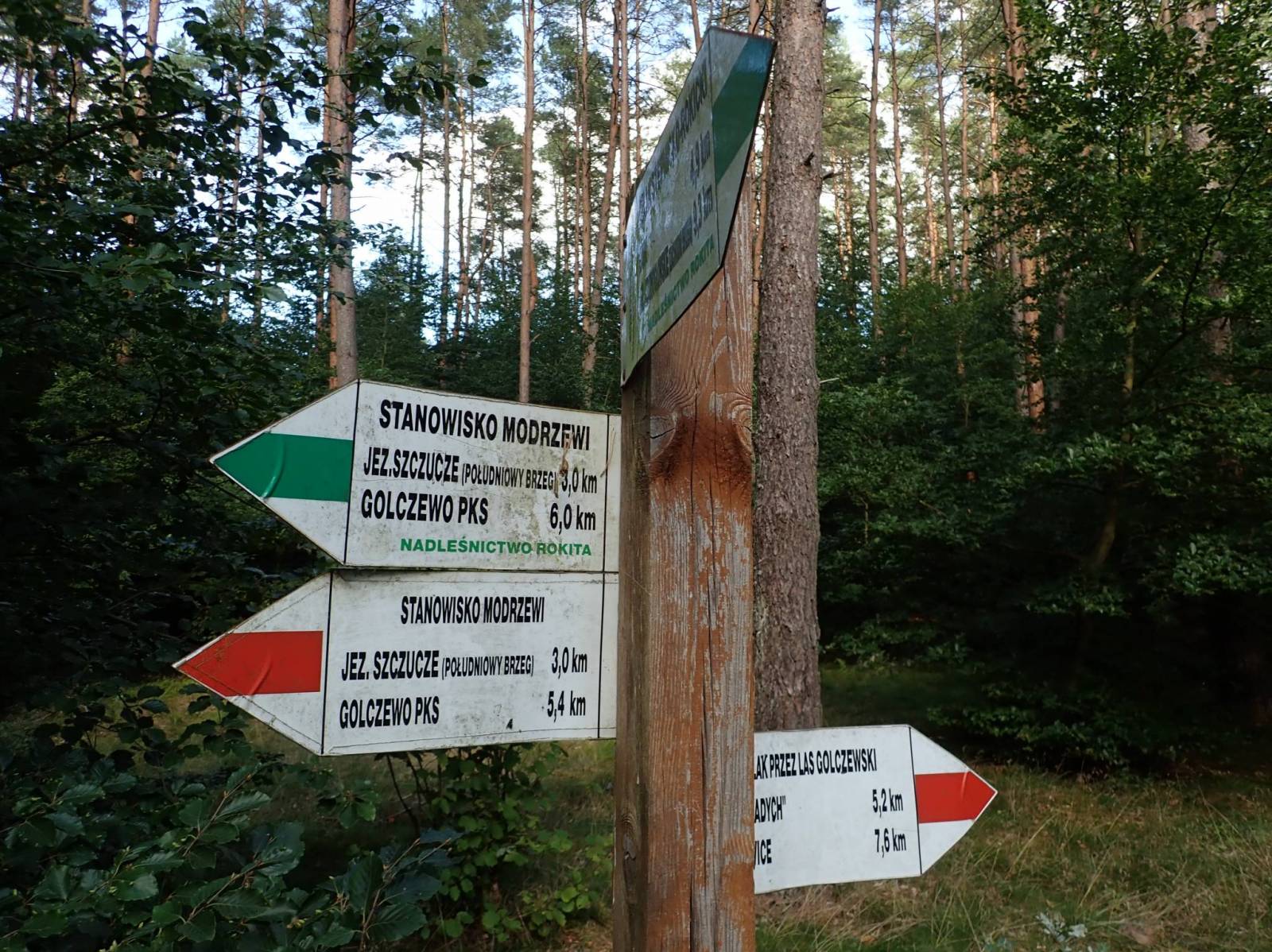 Zdjęcie 2