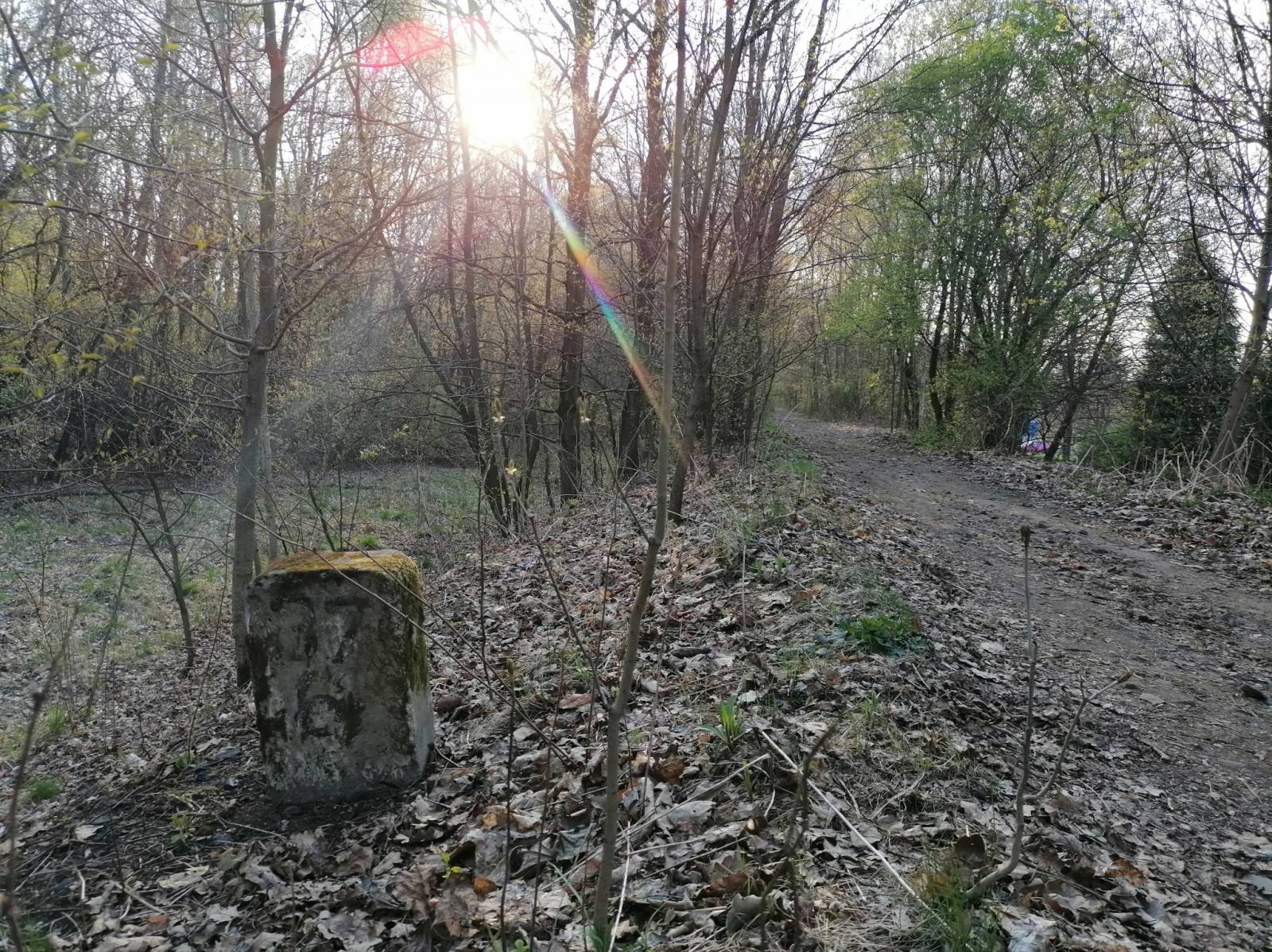 Zdjęcie 6