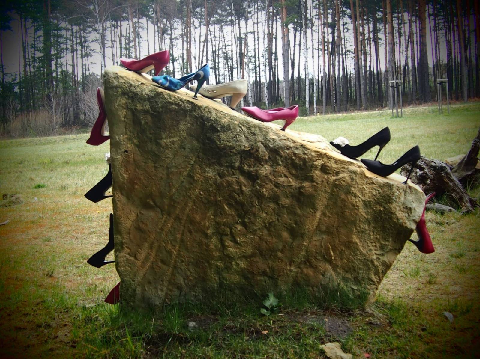Zdjęcie 2