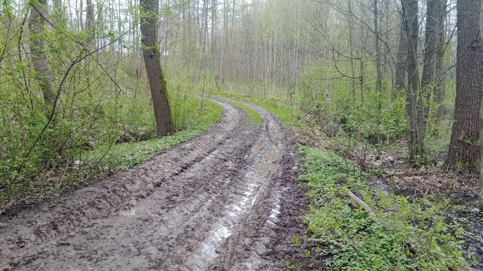Zdjęcie 6