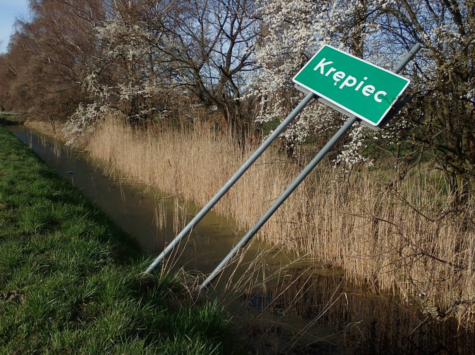 Zdjęcie 5