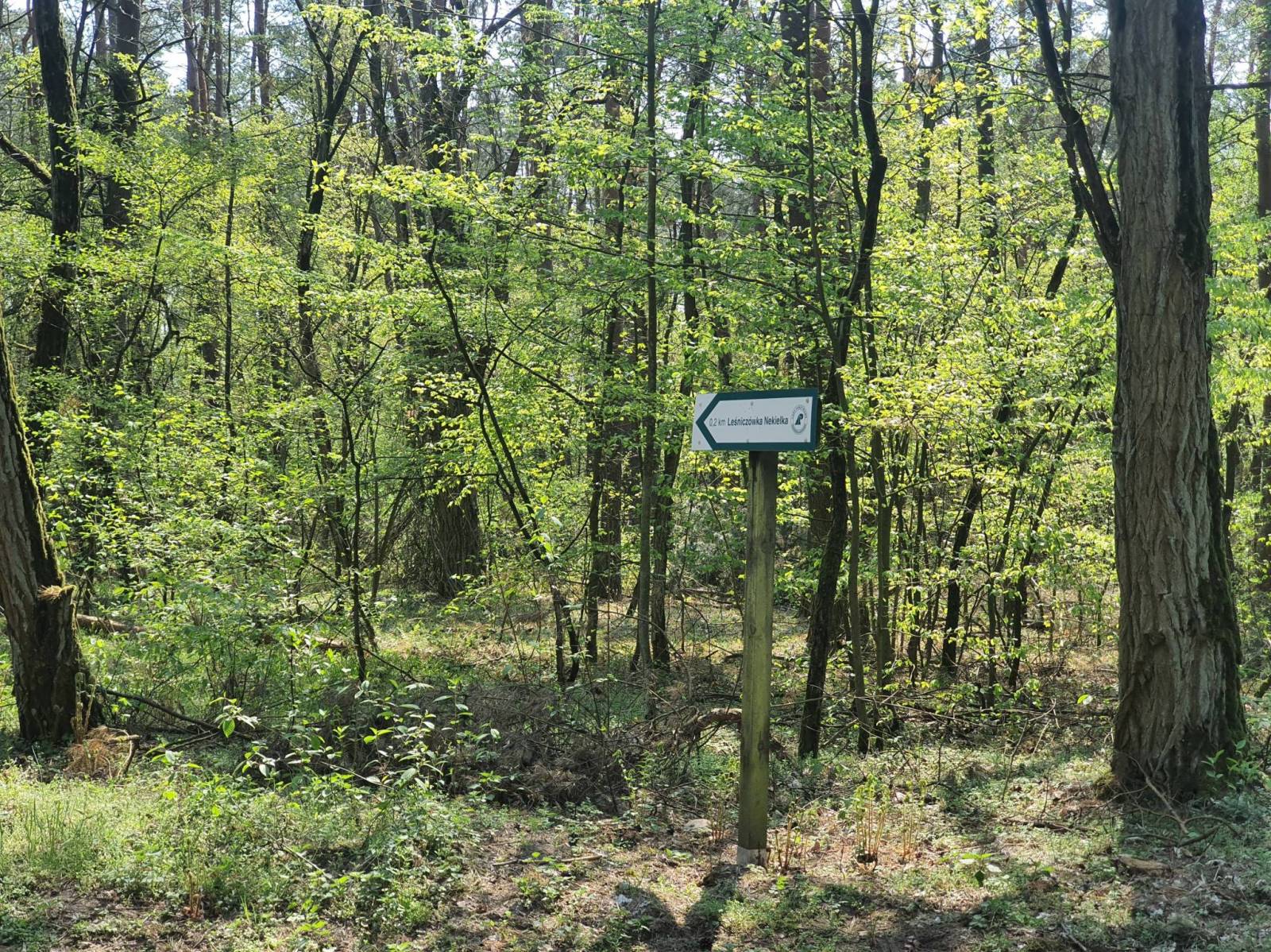 Zdjęcie 6