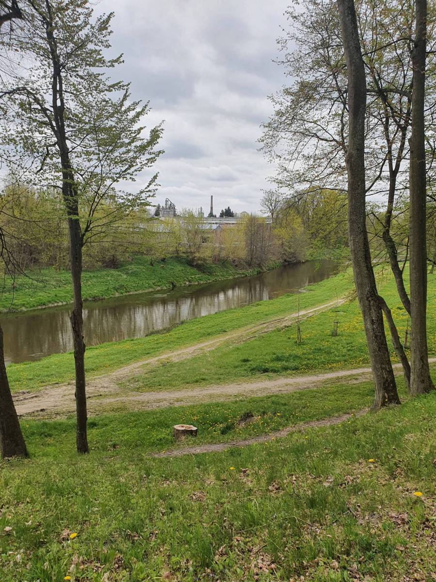 Zdjęcie 2