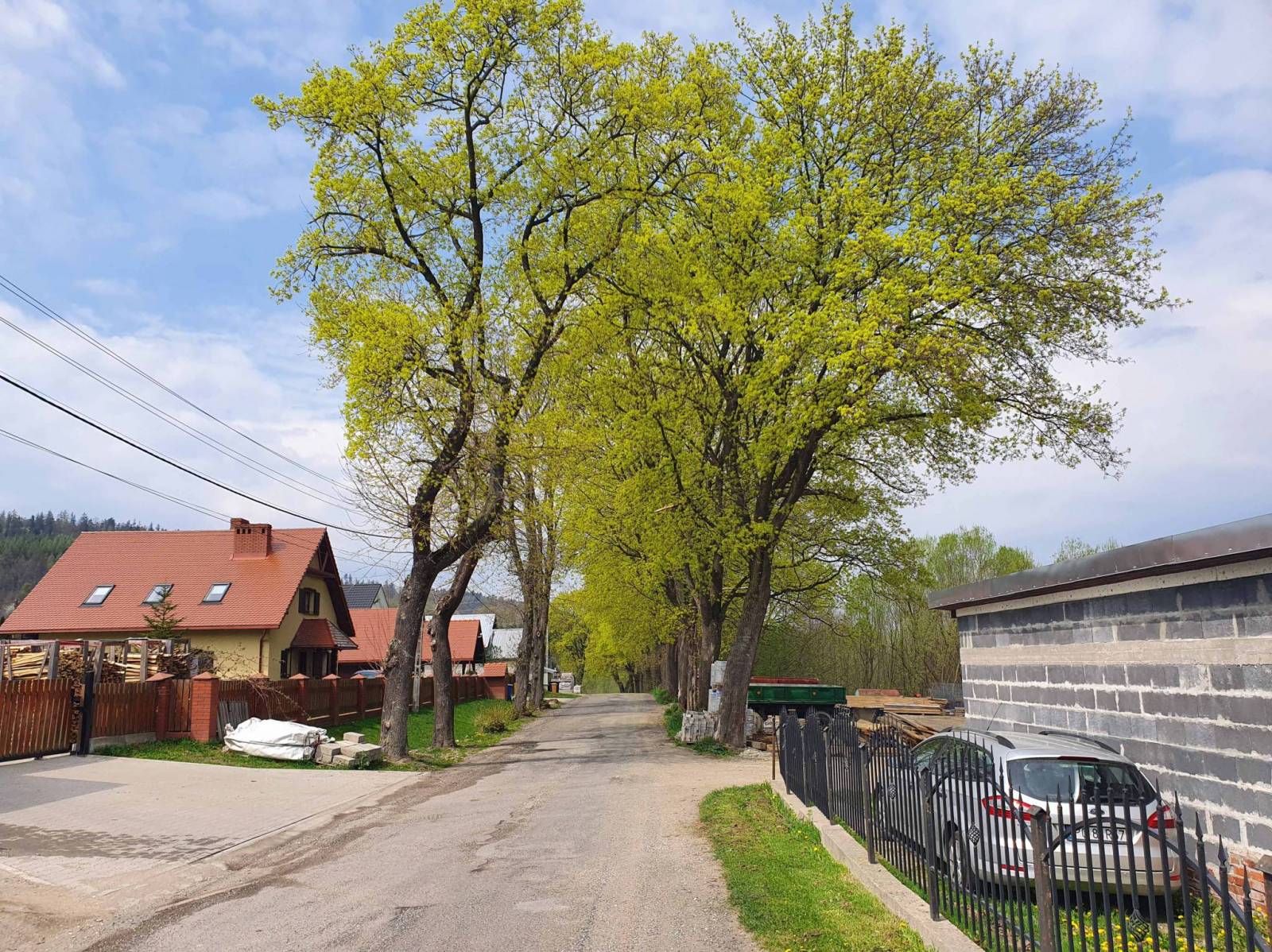 Zdjęcie 5