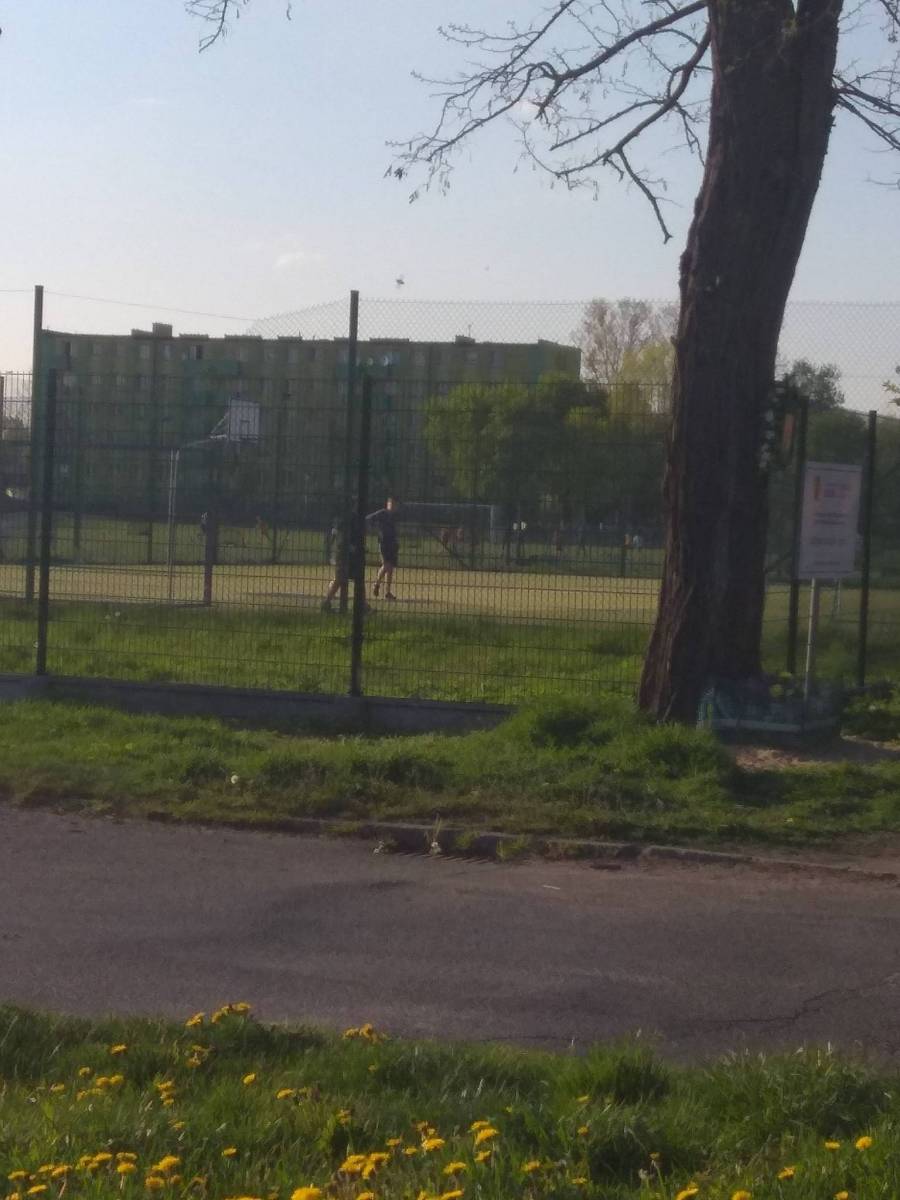 Zdjęcie 3
