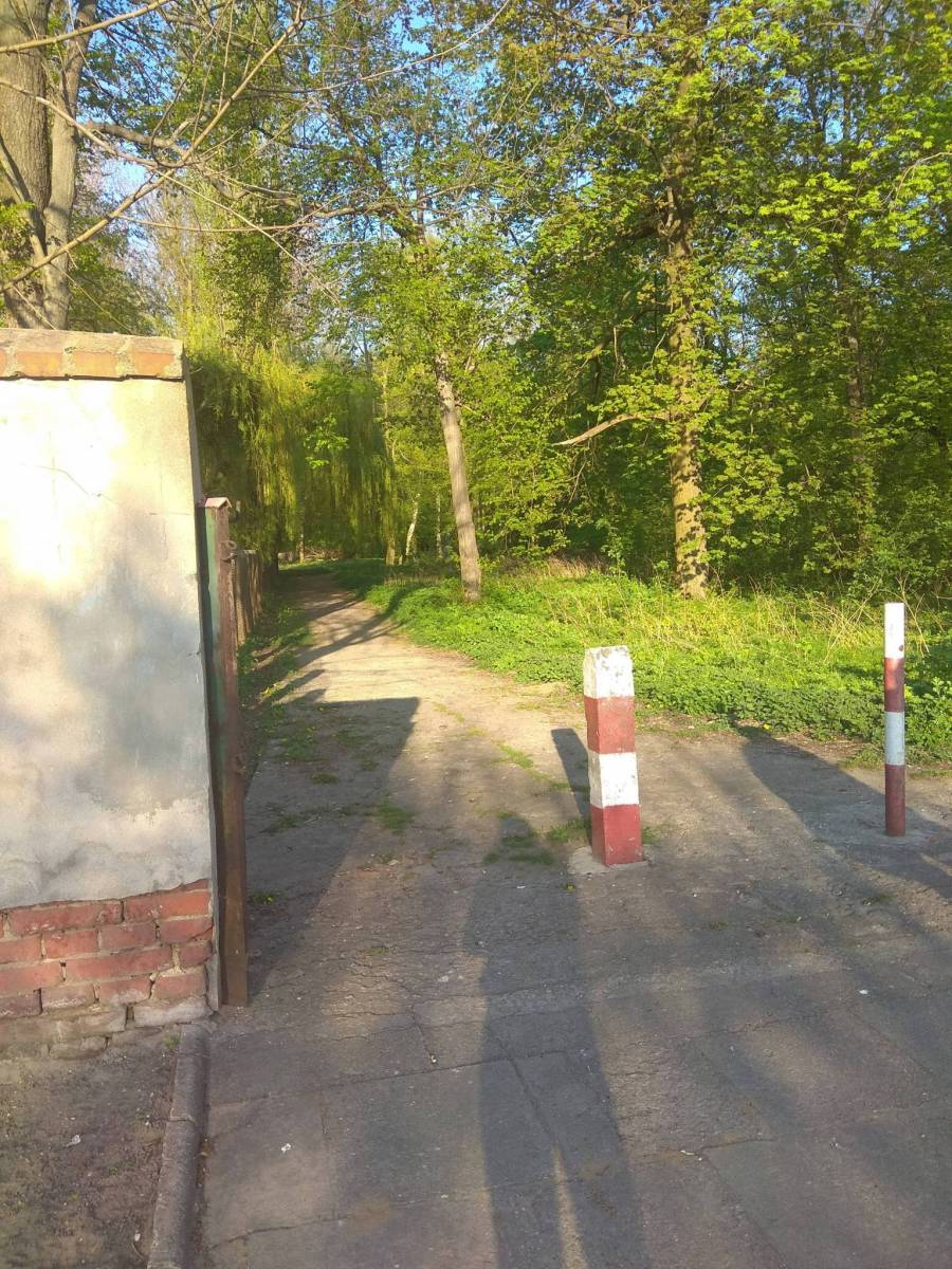 Zdjęcie 4