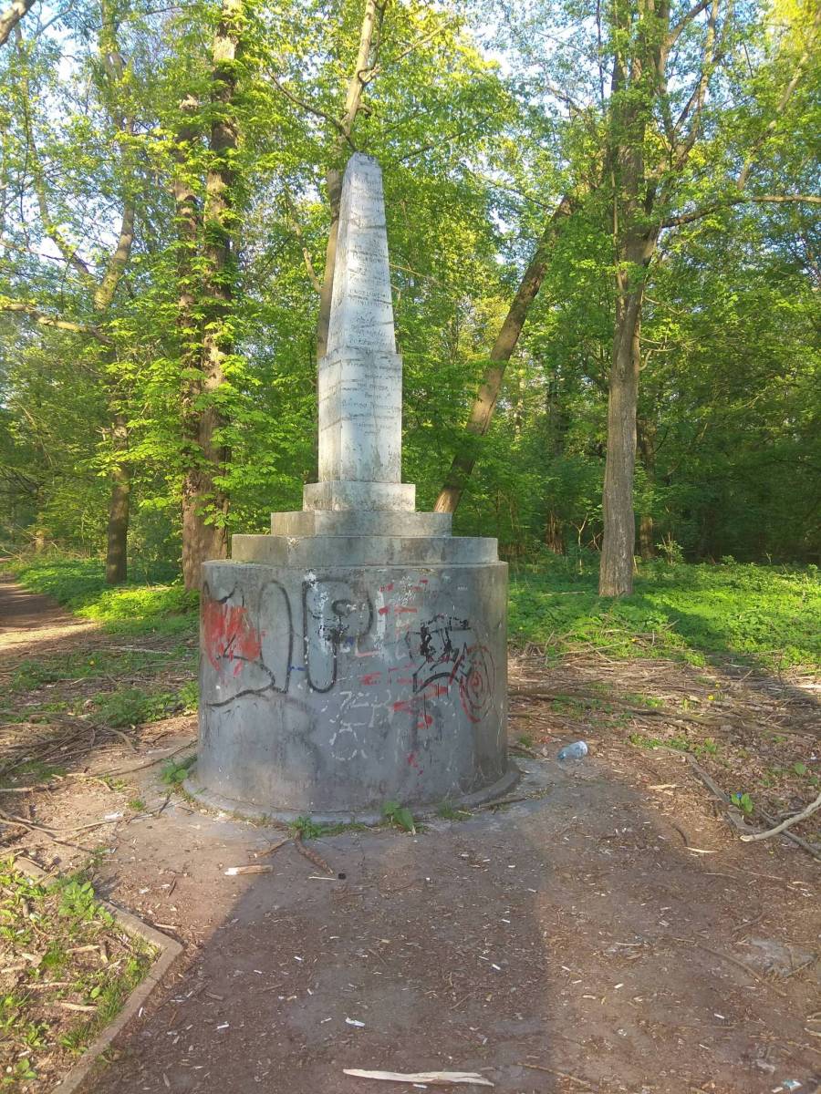 Zdjęcie 5