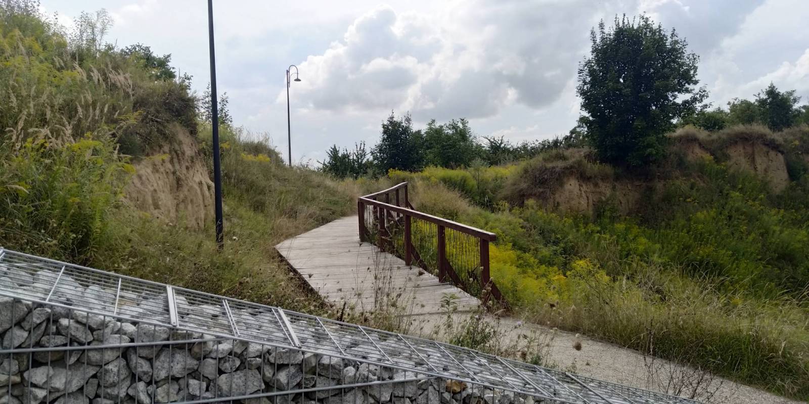 Zdjęcie 5