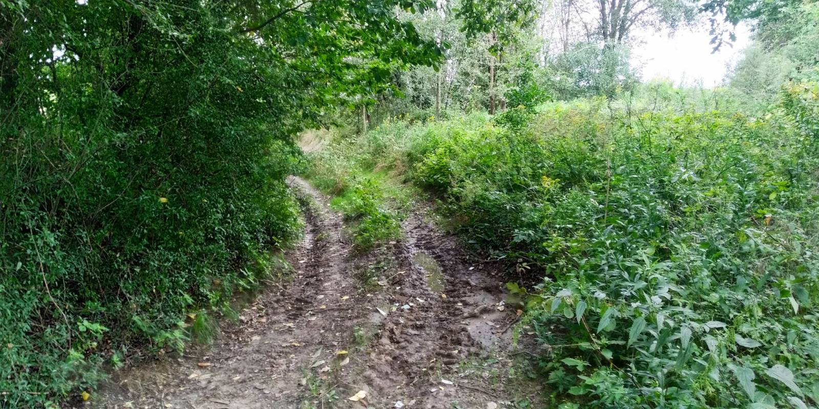 Zdjęcie 6