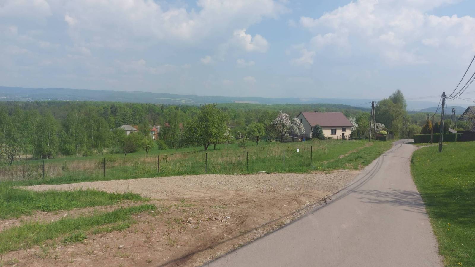 Zdjęcie 3