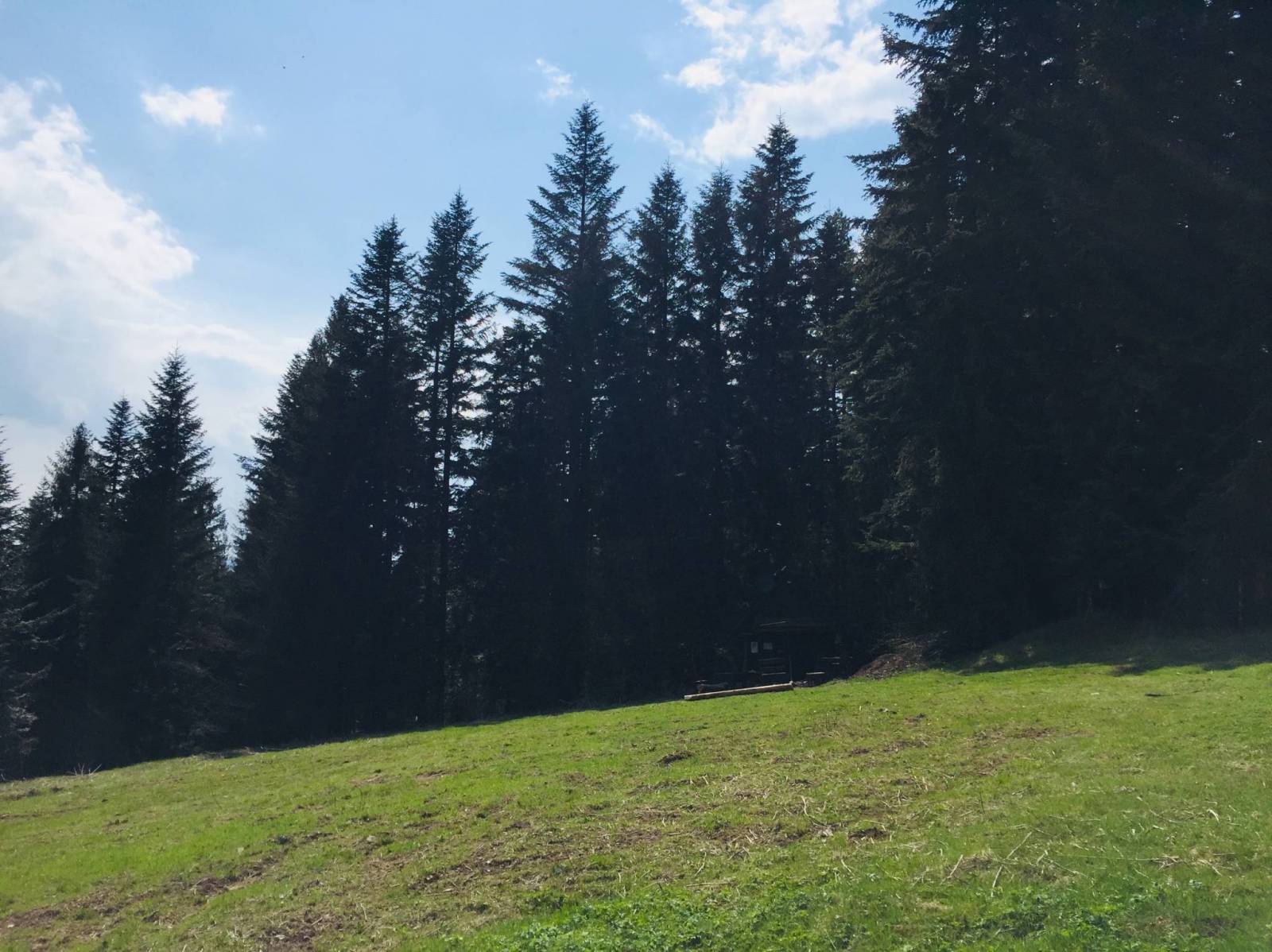 Zdjęcie 4