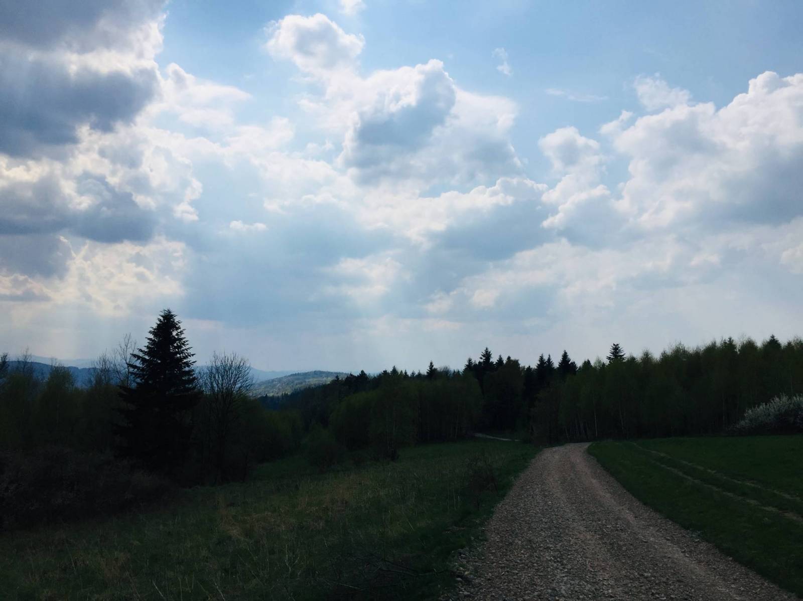 Zdjęcie 6