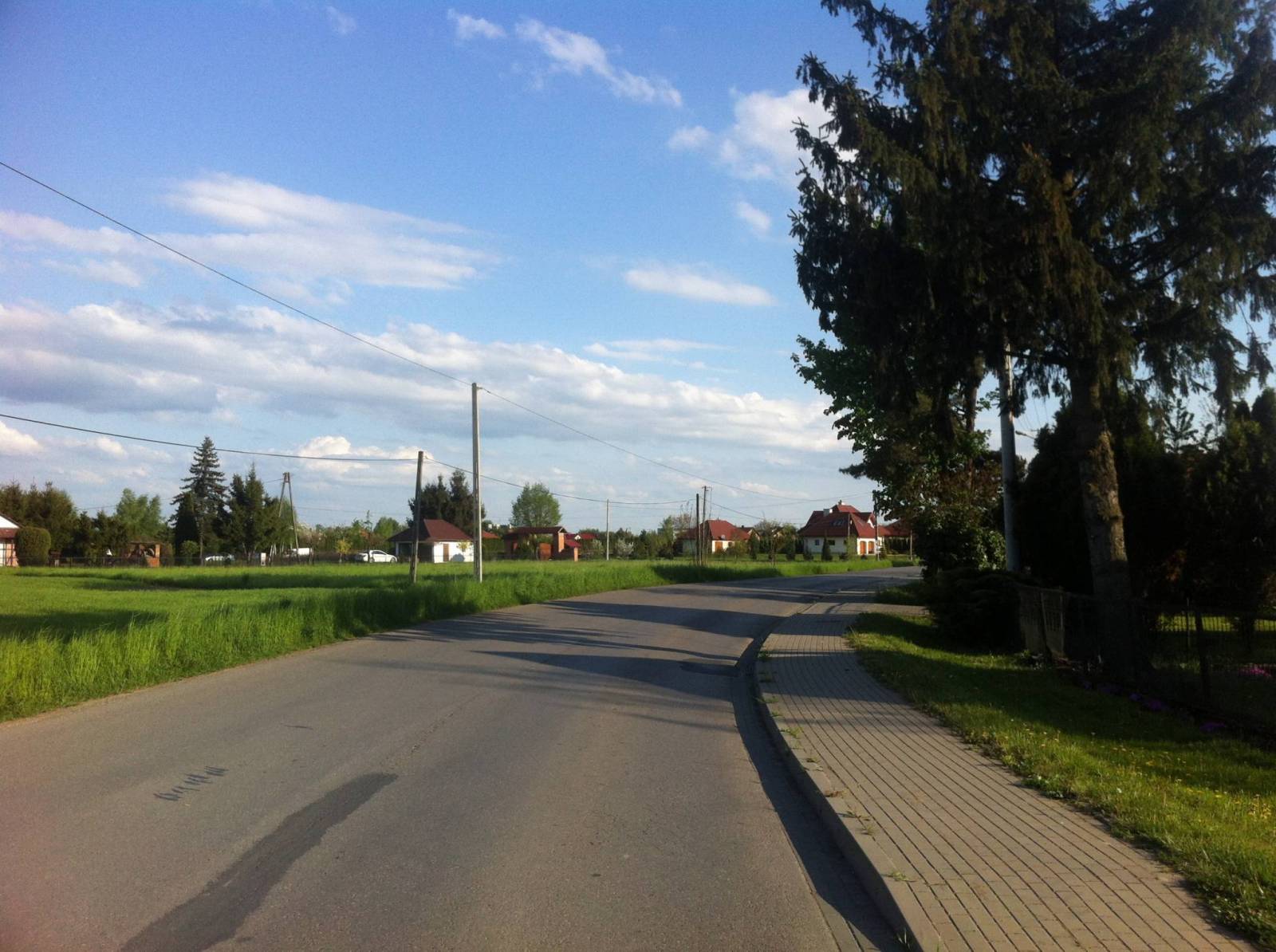 Zdjęcie 5