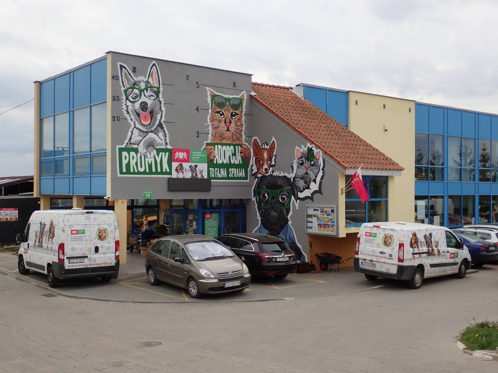 Zdjęcie 6