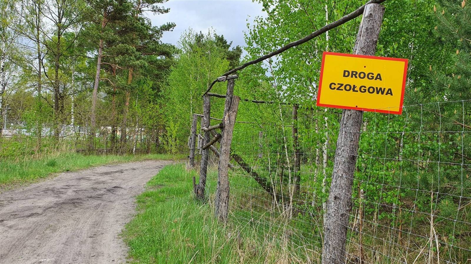 Zdjęcie 5