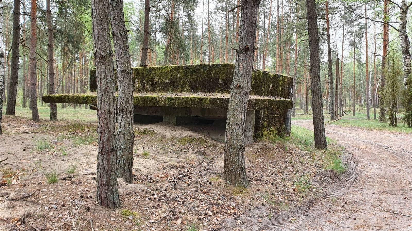 Zdjęcie 6