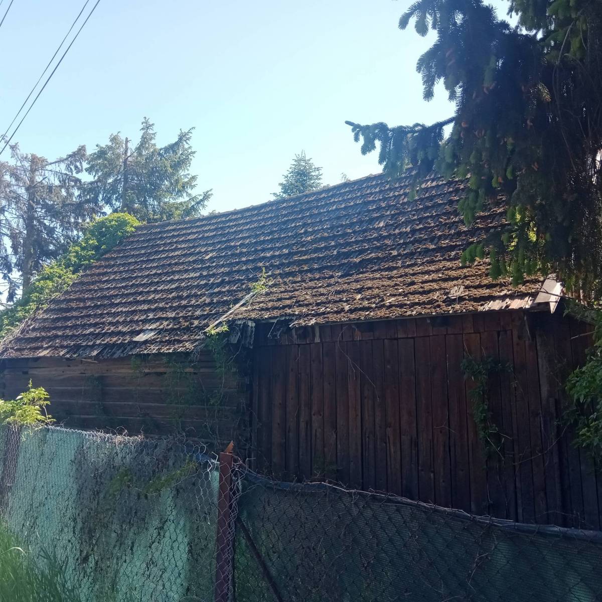 Zdjęcie 4