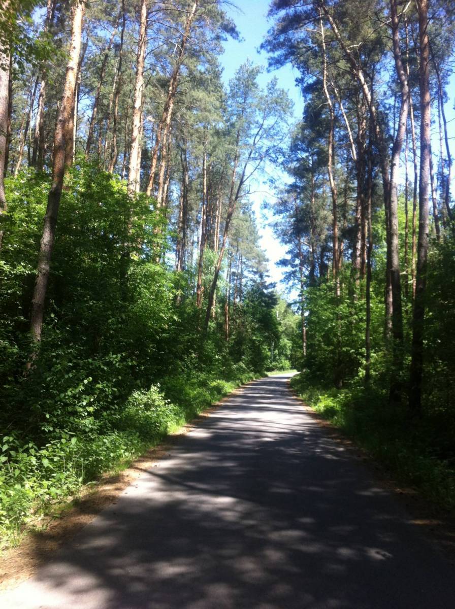 Zdjęcie 4