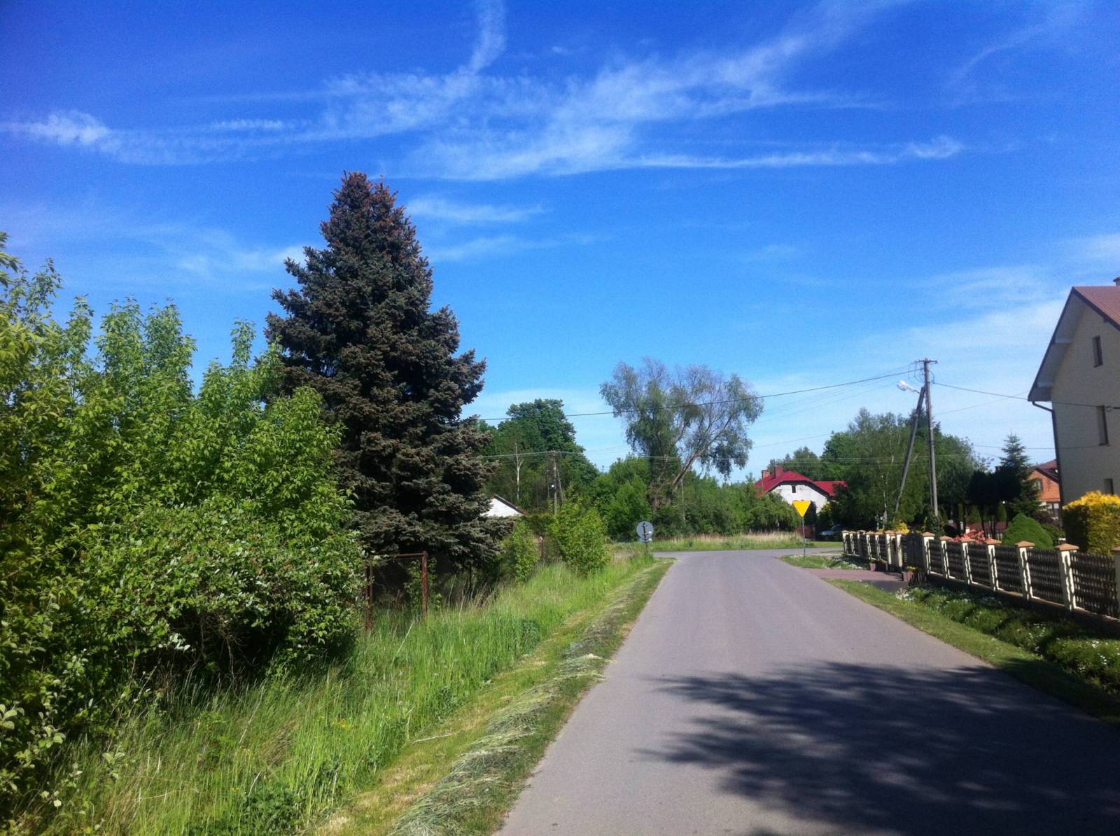 Zdjęcie 6