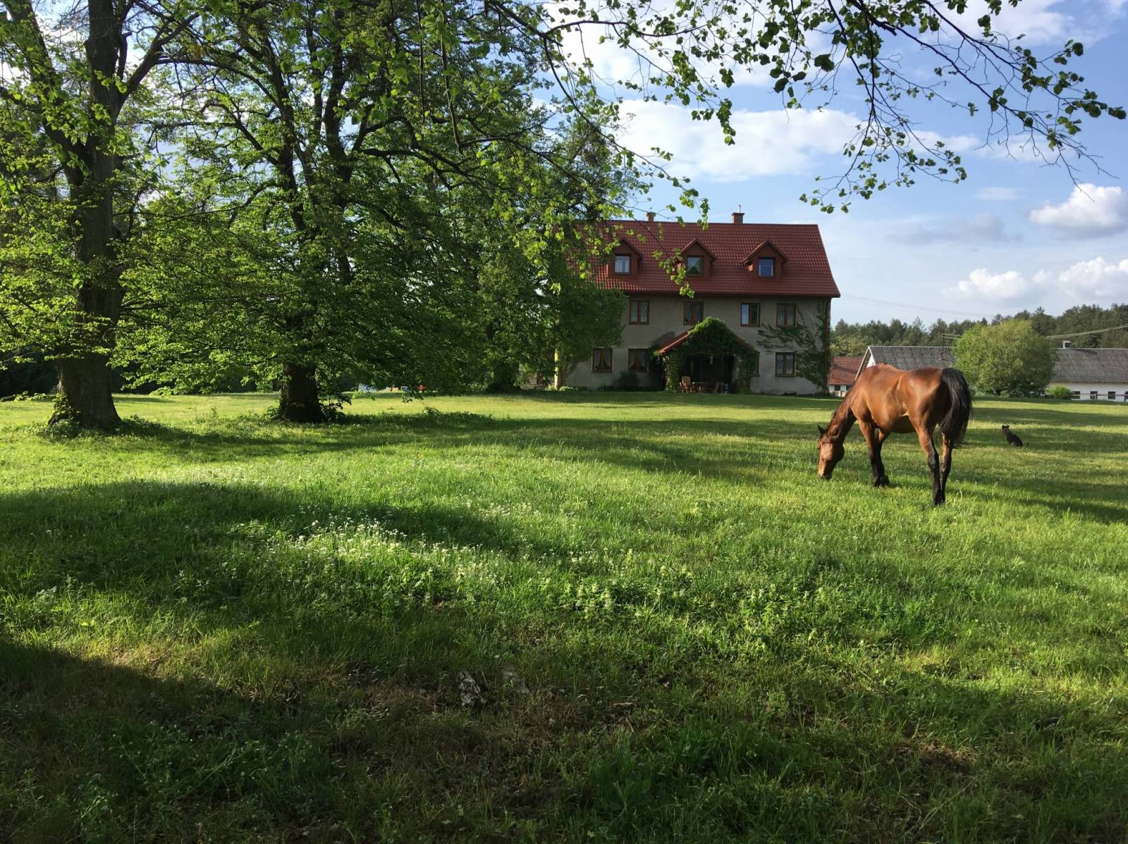 Zdjęcie 2