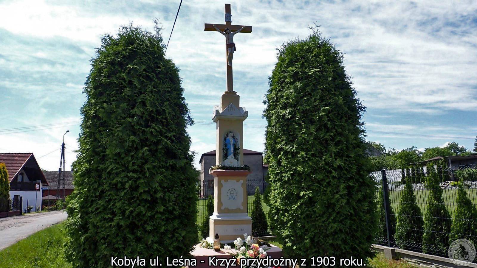 Zdjęcie 3