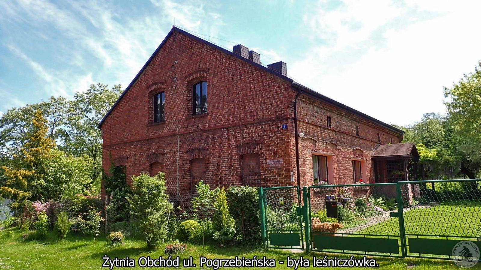 Zdjęcie 6