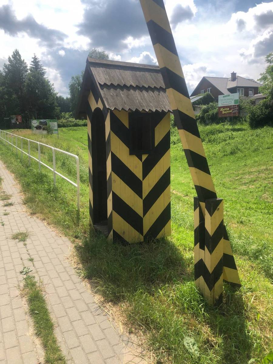 Zdjęcie 6