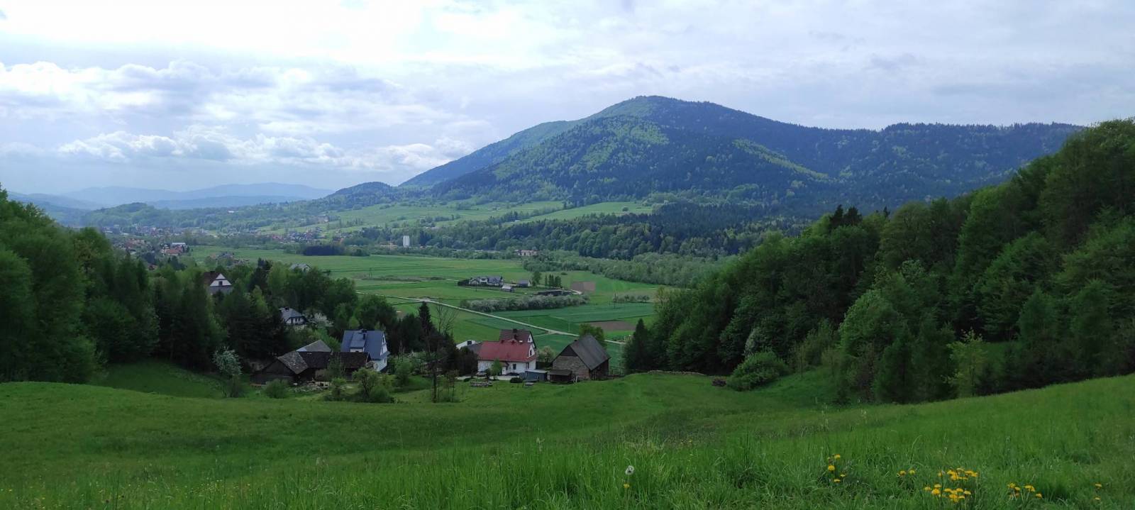 Zdjęcie 3