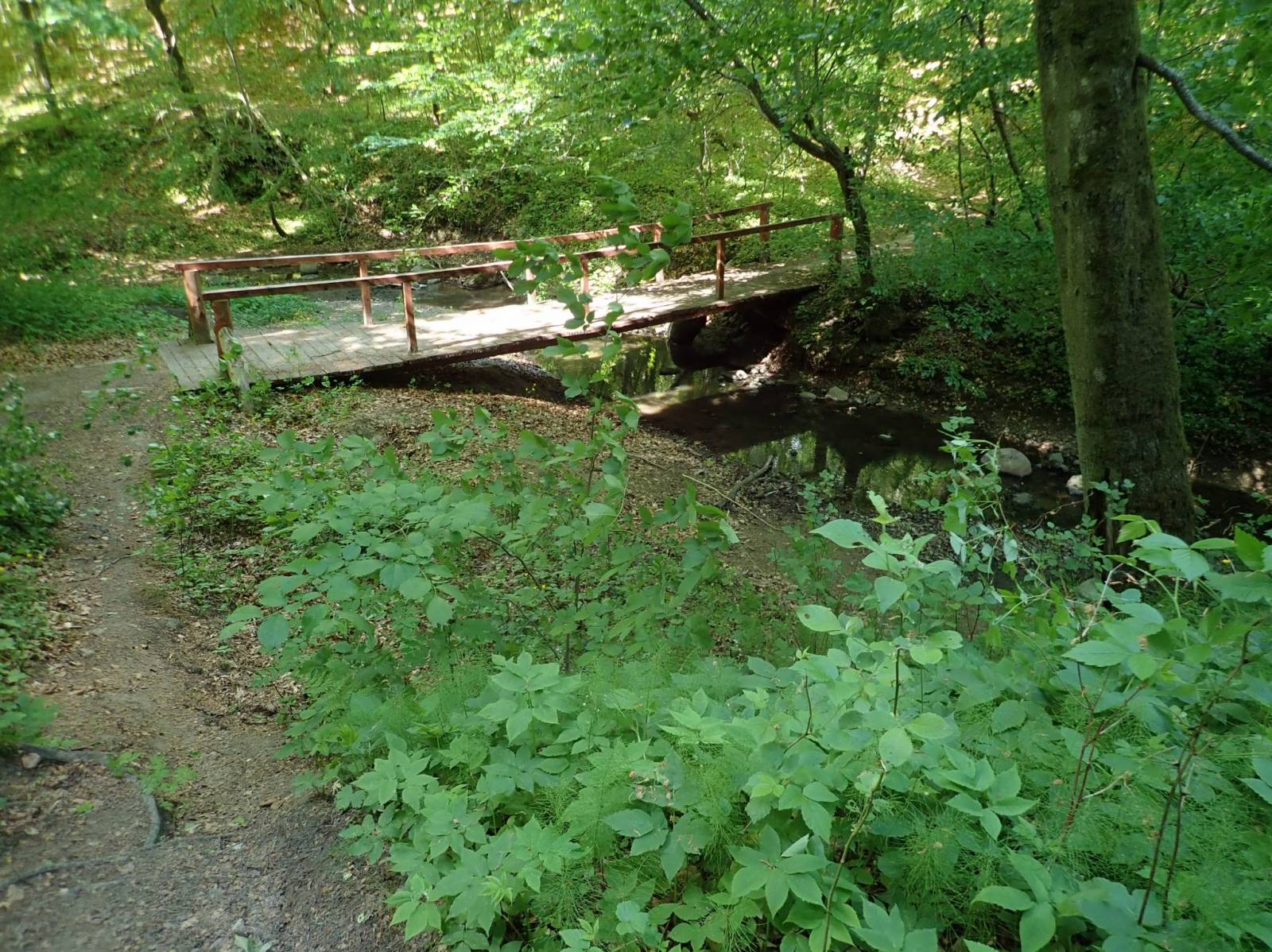 Photo 6