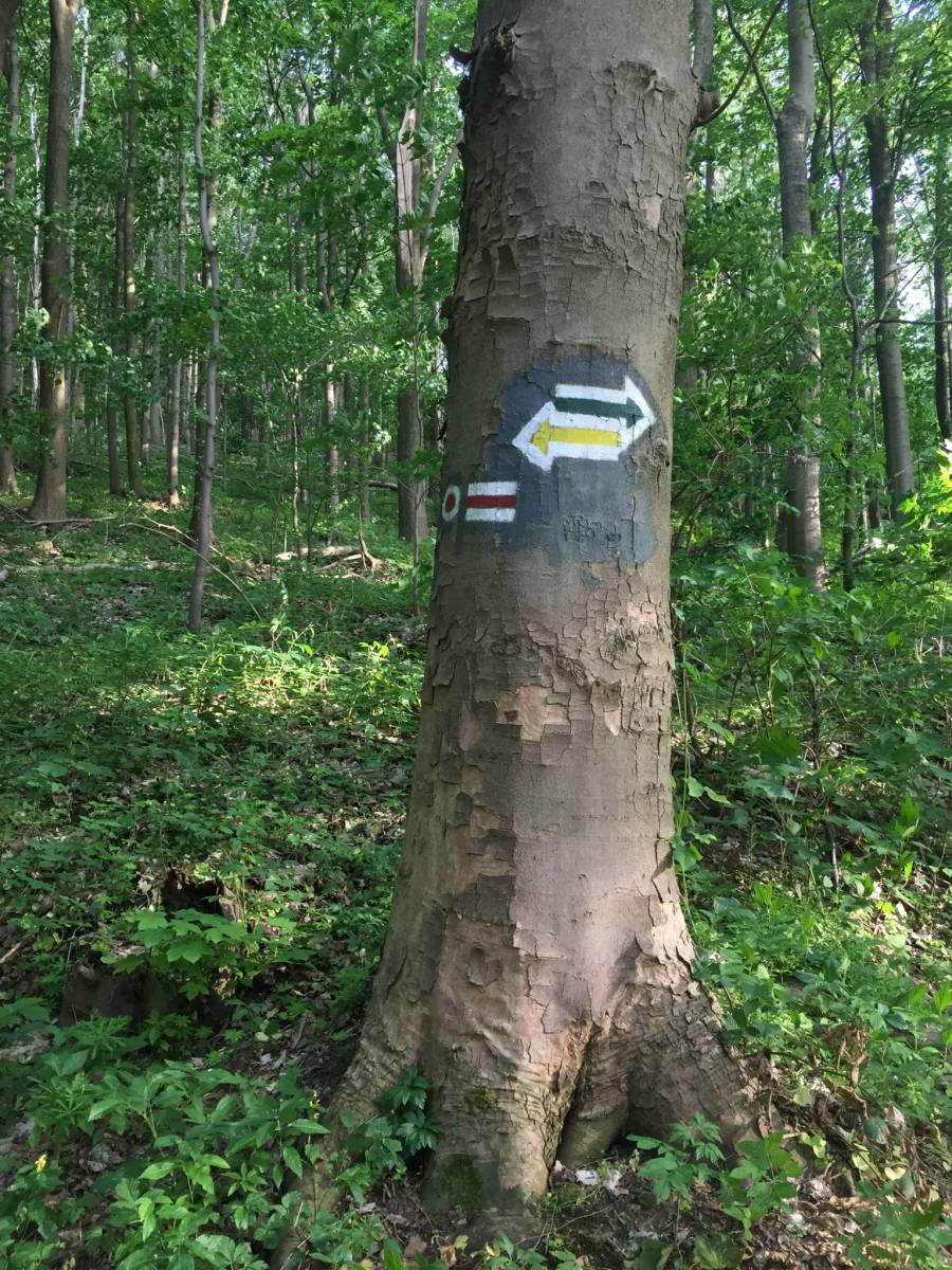 Zdjęcie 5