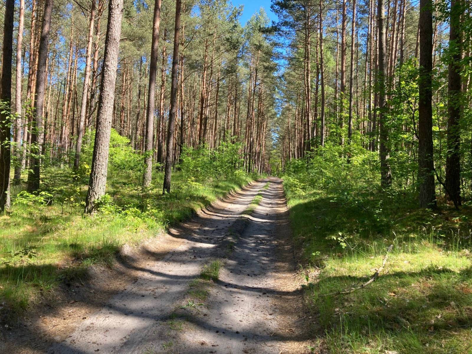 Zdjęcie 4