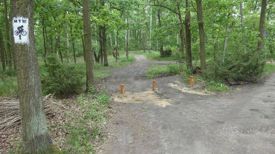 Zdjęcie 6