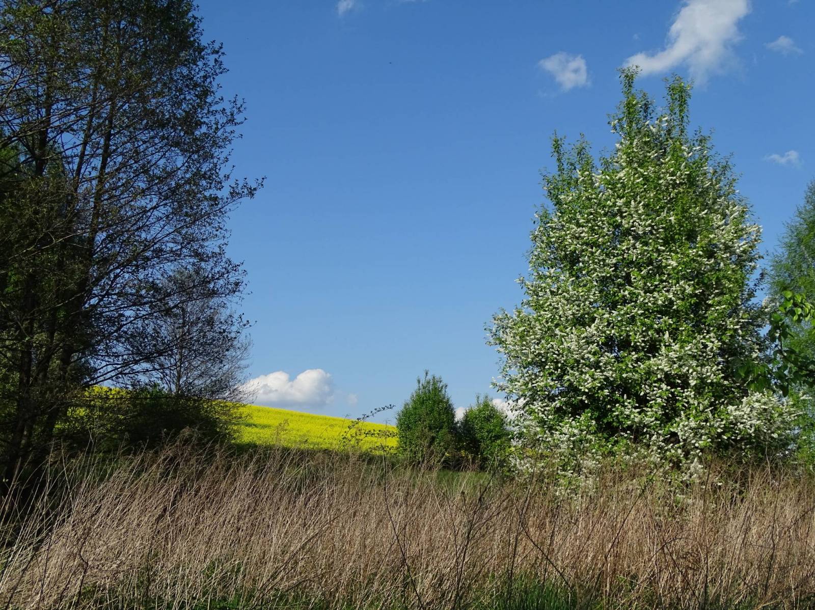 Zdjęcie 6