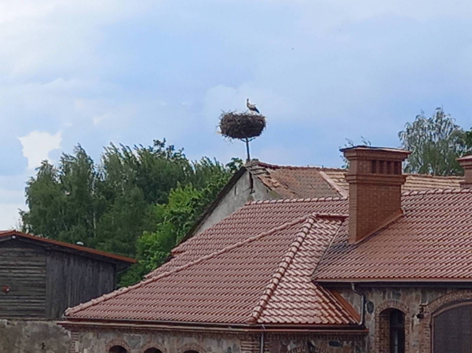 Zdjęcie 6