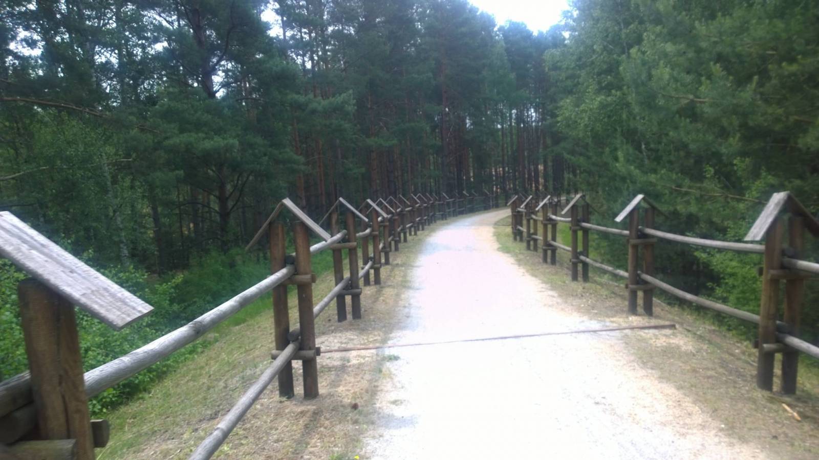 Zdjęcie 6