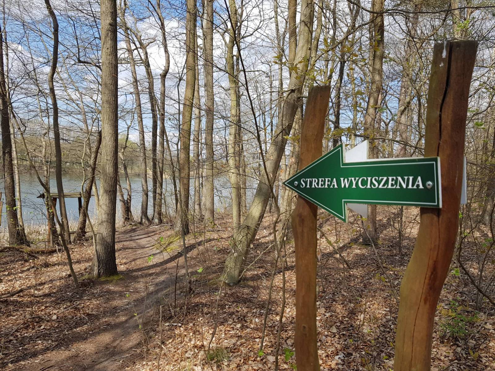 Zdjęcie 6