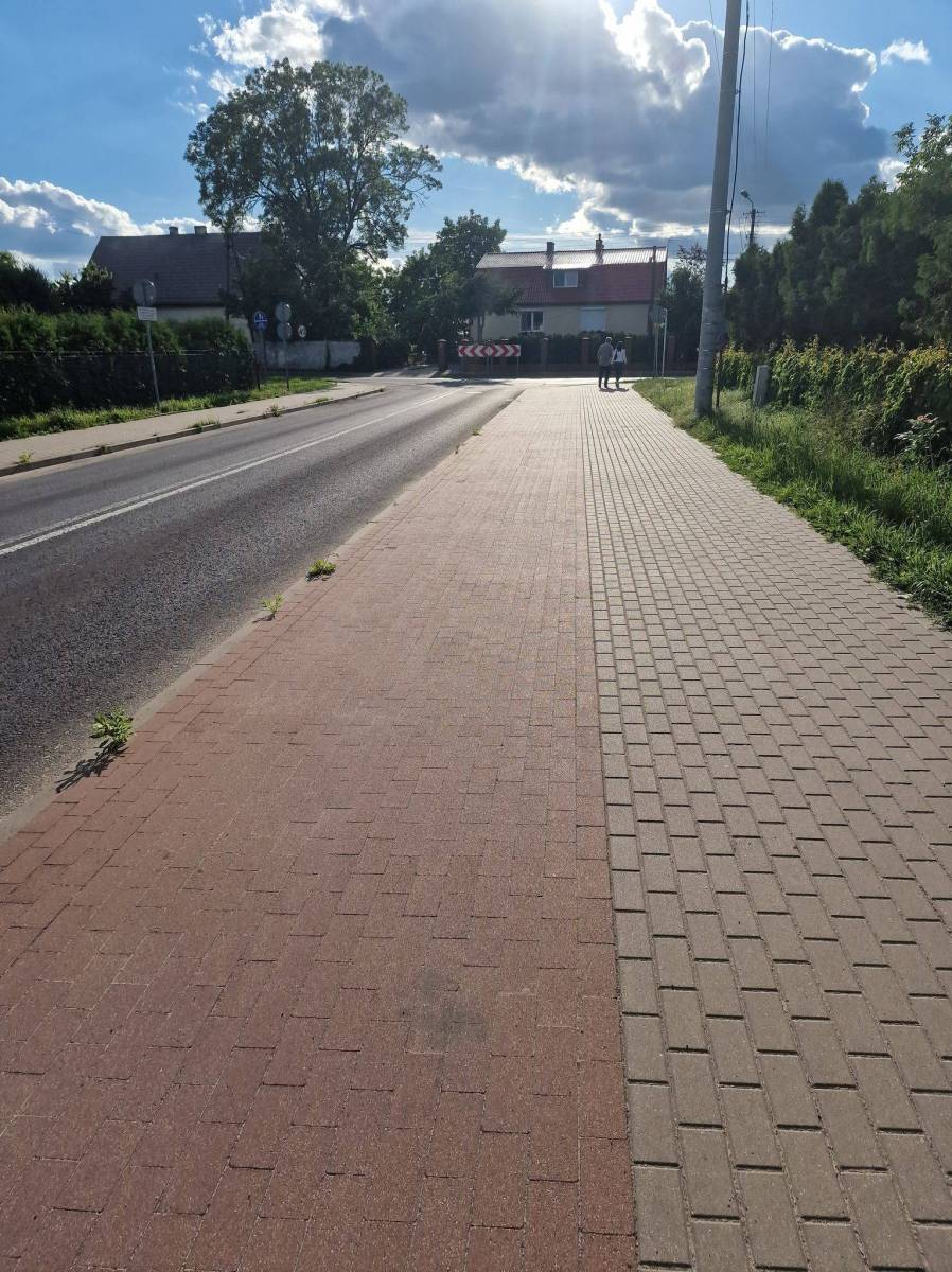 Zdjęcie 3