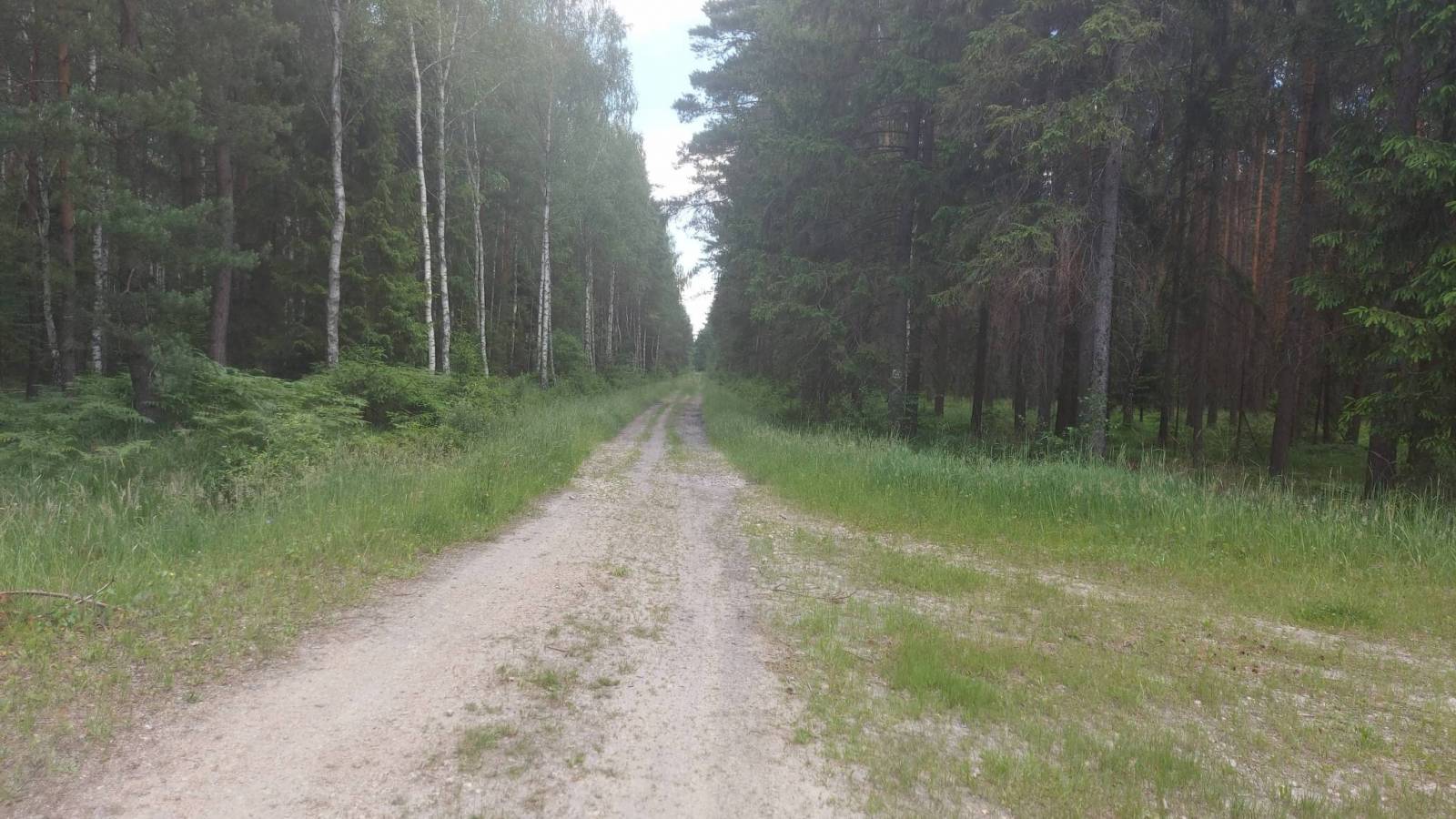 Zdjęcie 6