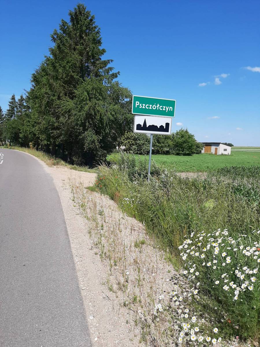 Zdjęcie 5