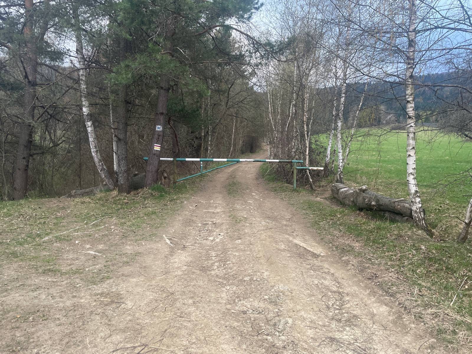 Zdjęcie 6